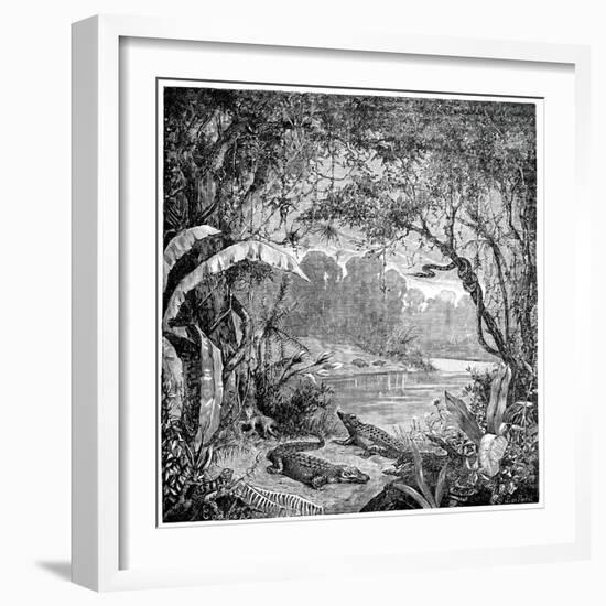 Tropical Plants And Reptiles-Science Photo Library-Framed Photographic Print