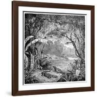 Tropical Plants And Reptiles-Science Photo Library-Framed Photographic Print