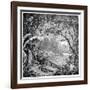 Tropical Plants And Reptiles-Science Photo Library-Framed Photographic Print