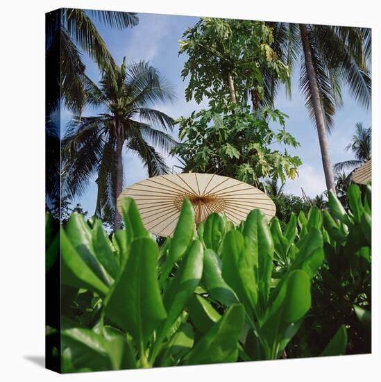 Tropical Plants and Traditional Parasols-null-Stretched Canvas