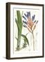 Tropical Plants I-Curtis-Framed Art Print