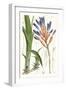 Tropical Plants I-Curtis-Framed Art Print