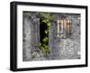 Tropical Plants, St. Pierre, Martinique, French Antilles, West Indies-Scott T. Smith-Framed Photographic Print