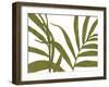 Tropical Play - Thrive-Lottie Fontaine-Framed Giclee Print