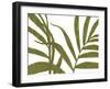 Tropical Play - Thrive-Lottie Fontaine-Framed Giclee Print