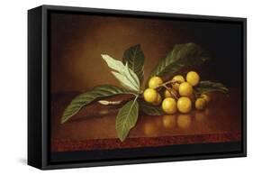 Tropical Plums-Martin Johnson Heade-Framed Stretched Canvas