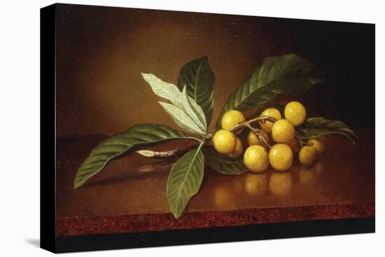 Tropical Plums-Martin Johnson Heade-Stretched Canvas