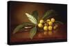 Tropical Plums-Martin Johnson Heade-Stretched Canvas