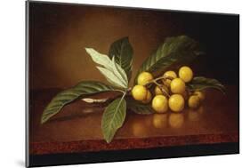 Tropical Plums-Martin Johnson Heade-Mounted Giclee Print