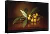 Tropical Plums-Martin Johnson Heade-Framed Stretched Canvas