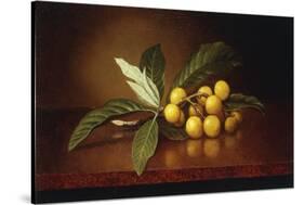 Tropical Plums-Martin Johnson Heade-Stretched Canvas