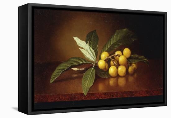 Tropical Plums-Martin Johnson Heade-Framed Stretched Canvas