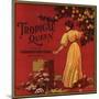 Tropical Queen Brand - California - Citrus Crate Label-Lantern Press-Mounted Art Print