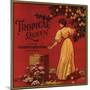 Tropical Queen Brand - California - Citrus Crate Label-Lantern Press-Mounted Art Print