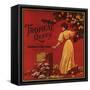 Tropical Queen Brand - California - Citrus Crate Label-Lantern Press-Framed Stretched Canvas