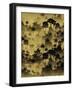 Tropical Rainforest Background-SaveJungle-Framed Photographic Print