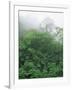 Tropical Rainforest Canopy in Mist, Braulio Carrillo National Park, Costa Rica-Juan Manuel Borrero-Framed Photographic Print