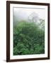 Tropical Rainforest Canopy in Mist, Braulio Carrillo National Park, Costa Rica-Juan Manuel Borrero-Framed Photographic Print