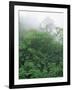 Tropical Rainforest Canopy in Mist, Braulio Carrillo National Park, Costa Rica-Juan Manuel Borrero-Framed Photographic Print