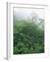 Tropical Rainforest Canopy in Mist, Braulio Carrillo National Park, Costa Rica-Juan Manuel Borrero-Framed Photographic Print