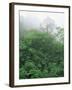 Tropical Rainforest Canopy in Mist, Braulio Carrillo National Park, Costa Rica-Juan Manuel Borrero-Framed Photographic Print