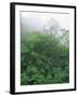 Tropical Rainforest Canopy in Mist, Braulio Carrillo National Park, Costa Rica-Juan Manuel Borrero-Framed Photographic Print