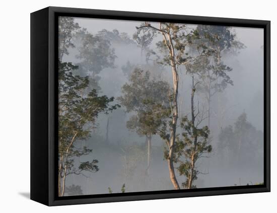 Tropical Rainforest on the Border of Burma and Thailand-Gavriel Jecan-Framed Stretched Canvas