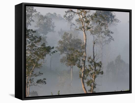 Tropical Rainforest on the Border of Burma and Thailand-Gavriel Jecan-Framed Stretched Canvas