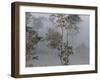 Tropical Rainforest on the Border of Burma and Thailand-Gavriel Jecan-Framed Photographic Print