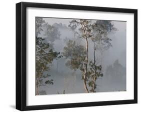 Tropical Rainforest on the Border of Burma and Thailand-Gavriel Jecan-Framed Photographic Print