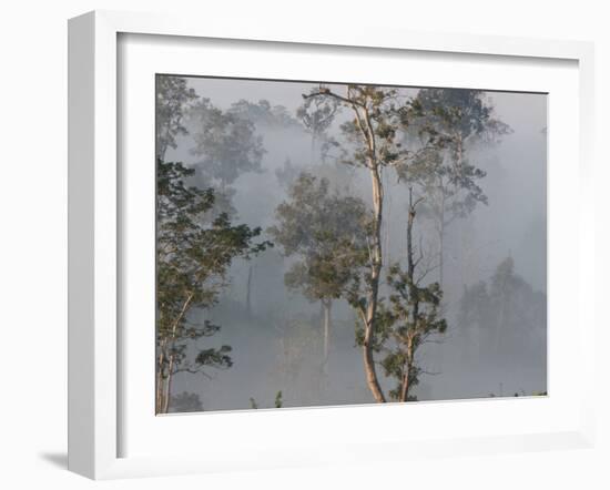 Tropical Rainforest on the Border of Burma and Thailand-Gavriel Jecan-Framed Photographic Print