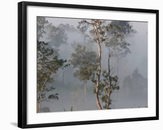 Tropical Rainforest on the Border of Burma and Thailand-Gavriel Jecan-Framed Photographic Print