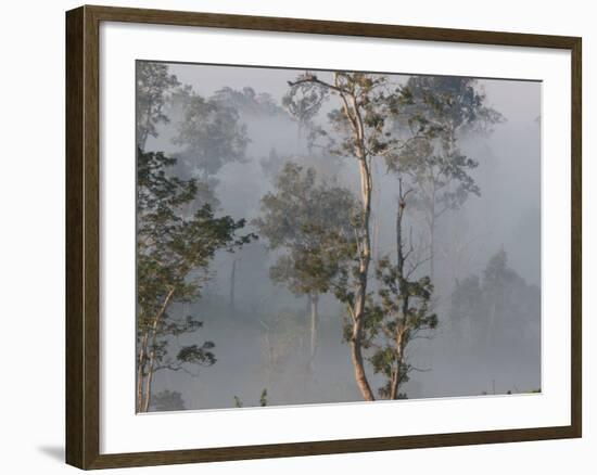 Tropical Rainforest on the Border of Burma and Thailand-Gavriel Jecan-Framed Photographic Print