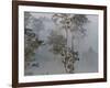 Tropical Rainforest on the Border of Burma and Thailand-Gavriel Jecan-Framed Photographic Print