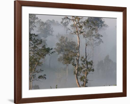 Tropical Rainforest on the Border of Burma and Thailand-Gavriel Jecan-Framed Photographic Print