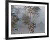 Tropical Rainforest on the Border of Burma and Thailand-Gavriel Jecan-Framed Photographic Print