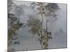 Tropical Rainforest on the Border of Burma and Thailand-Gavriel Jecan-Mounted Photographic Print