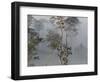 Tropical Rainforest on the Border of Burma and Thailand-Gavriel Jecan-Framed Photographic Print