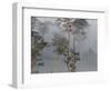 Tropical Rainforest on the Border of Burma and Thailand-Gavriel Jecan-Framed Photographic Print