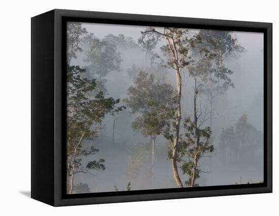 Tropical Rainforest on the Border of Burma and Thailand-Gavriel Jecan-Framed Stretched Canvas