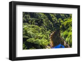 Tropical Rainforest Scenery on State Highway 43 (Forgotten World Highway), Taranaki Region-Matthew Williams-Ellis-Framed Photographic Print