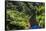 Tropical Rainforest Scenery on State Highway 43 (Forgotten World Highway), Taranaki Region-Matthew Williams-Ellis-Framed Stretched Canvas