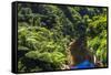 Tropical Rainforest Scenery on State Highway 43 (Forgotten World Highway), Taranaki Region-Matthew Williams-Ellis-Framed Stretched Canvas