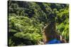 Tropical Rainforest Scenery on State Highway 43 (Forgotten World Highway), Taranaki Region-Matthew Williams-Ellis-Stretched Canvas