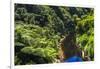 Tropical Rainforest Scenery on State Highway 43 (Forgotten World Highway), Taranaki Region-Matthew Williams-Ellis-Framed Photographic Print