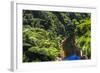 Tropical Rainforest Scenery on State Highway 43 (Forgotten World Highway), Taranaki Region-Matthew Williams-Ellis-Framed Photographic Print