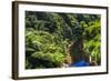 Tropical Rainforest Scenery on State Highway 43 (Forgotten World Highway), Taranaki Region-Matthew Williams-Ellis-Framed Photographic Print