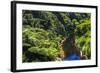 Tropical Rainforest Scenery on State Highway 43 (Forgotten World Highway), Taranaki Region-Matthew Williams-Ellis-Framed Photographic Print