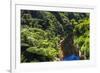 Tropical Rainforest Scenery on State Highway 43 (Forgotten World Highway), Taranaki Region-Matthew Williams-Ellis-Framed Photographic Print