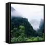 Tropical Rainforest Thailand-null-Framed Stretched Canvas